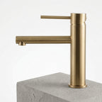 Nexora Monobloc Basin Faucet